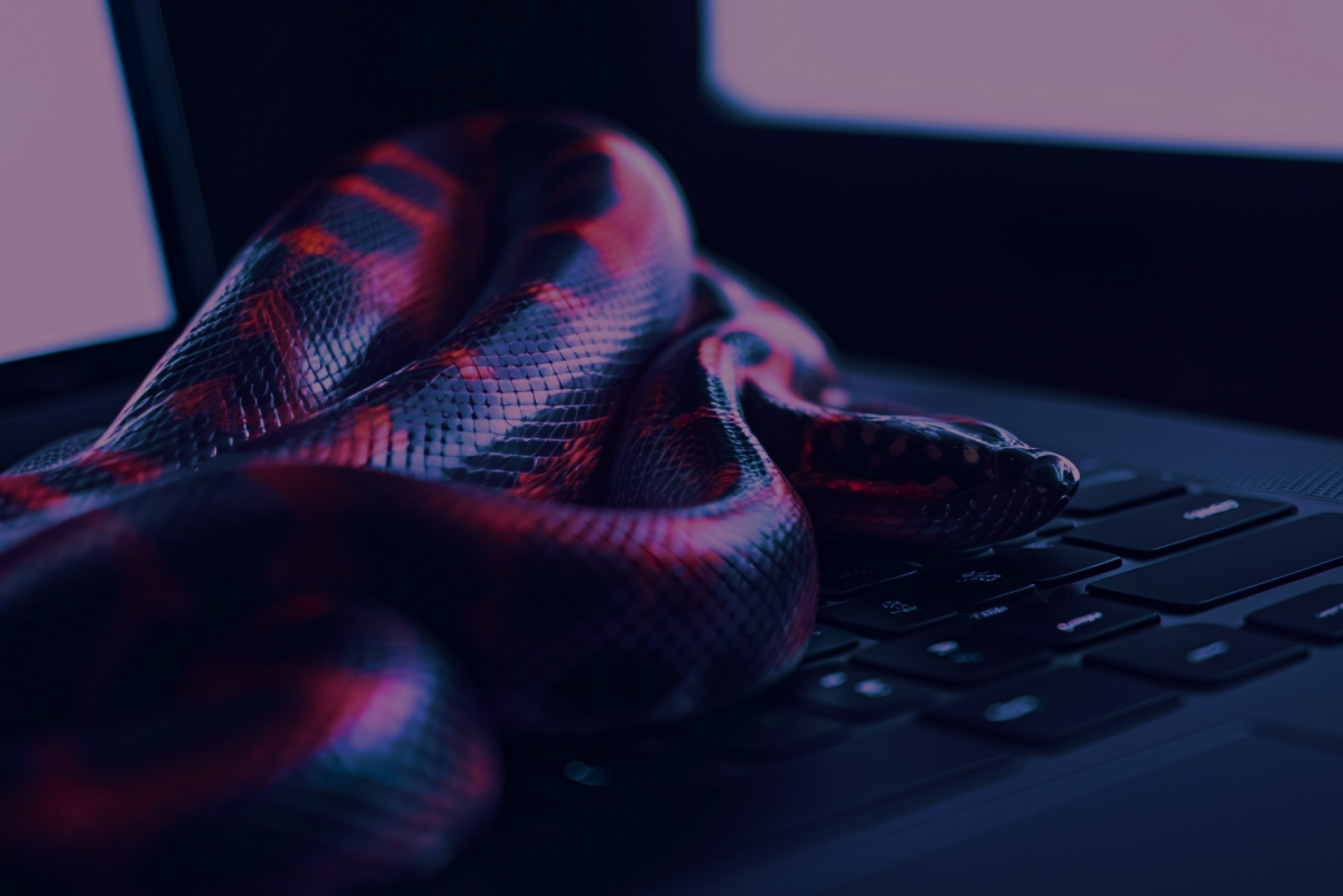 Using Python for ERP System Dark.jpg